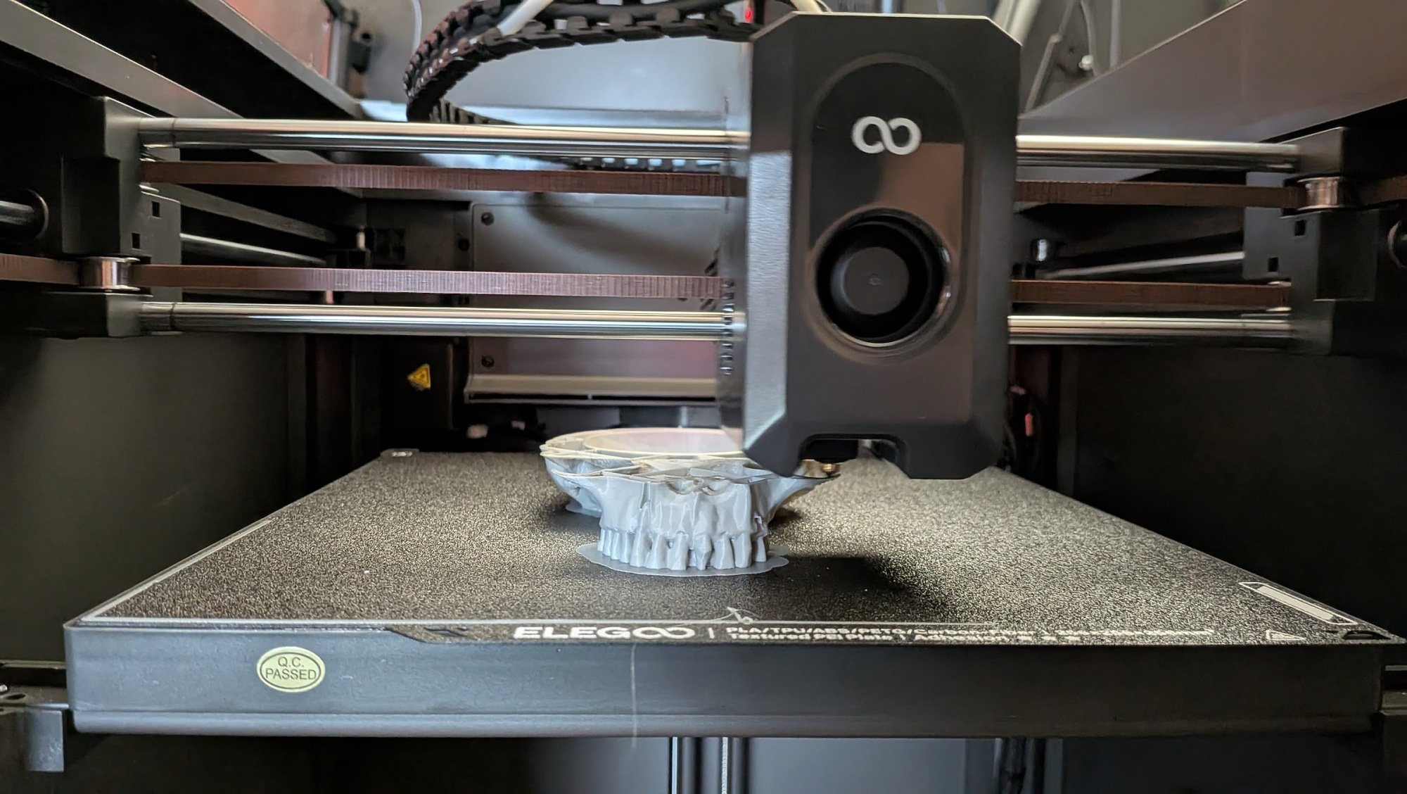 printer elegoo 3d membuat tengkorak