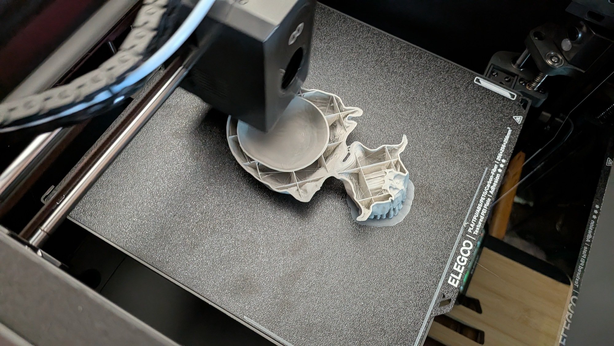 printer elegoo 3d membuat tengkorak