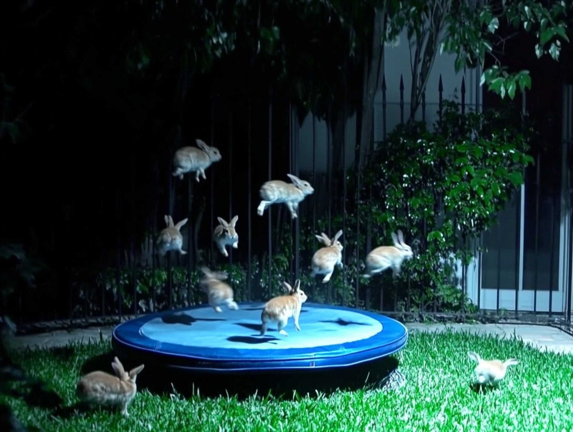 AI menghasilkan gambar kelinci yang melompat ke atas trampolin