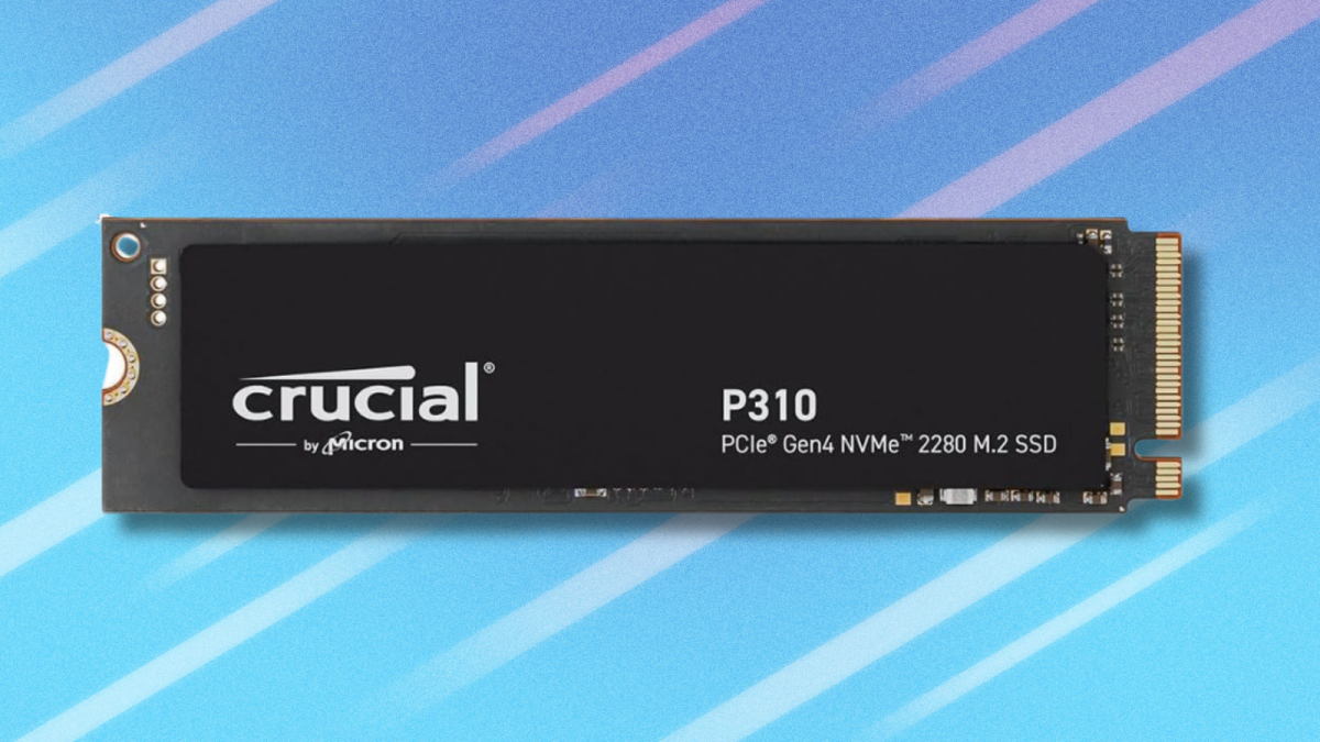Dapatkan beberapa ruang penyimpanan dengan P310 1TB SSD yang penting untuk harga terendahnya